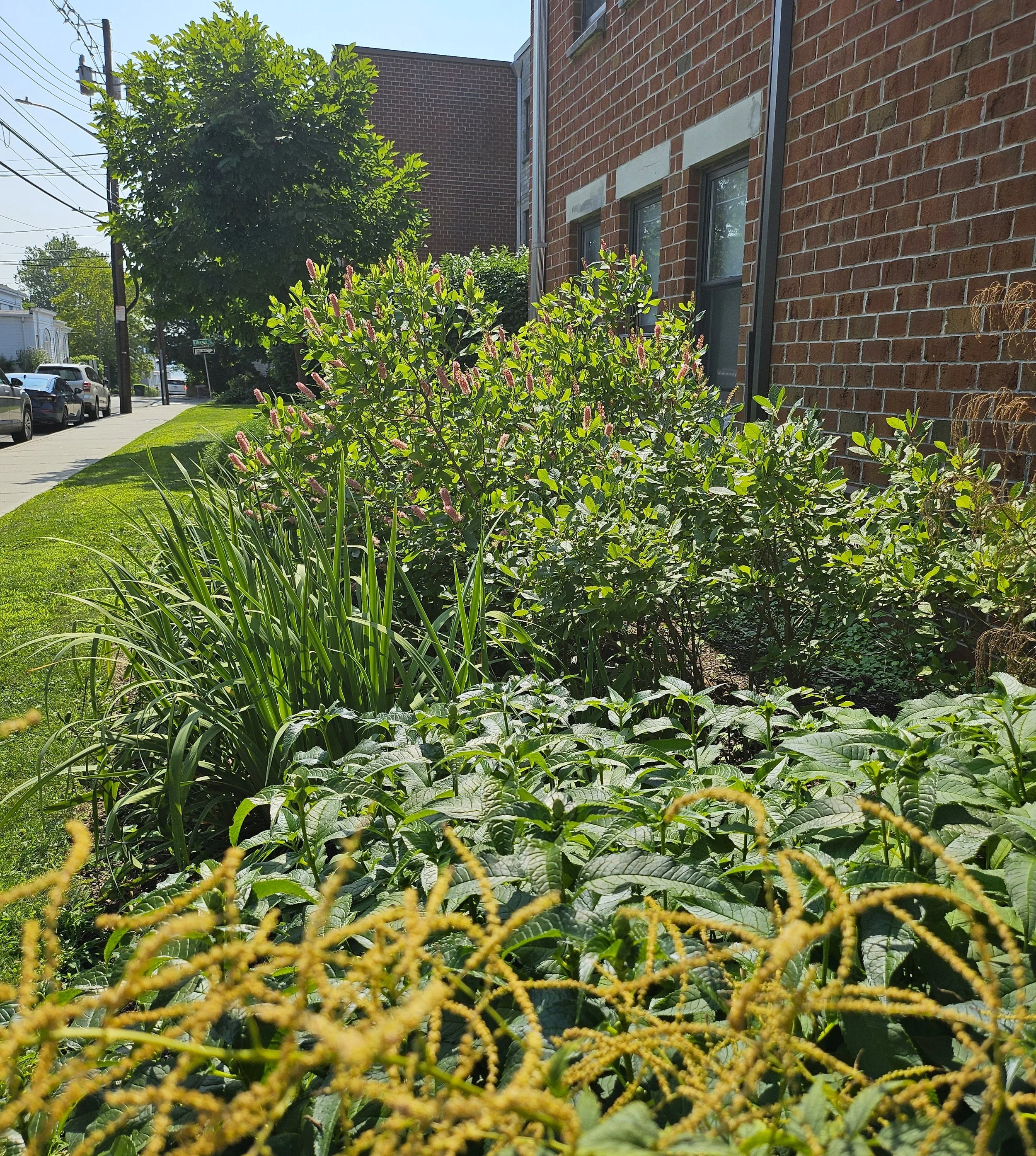 20260727_102623.jpg