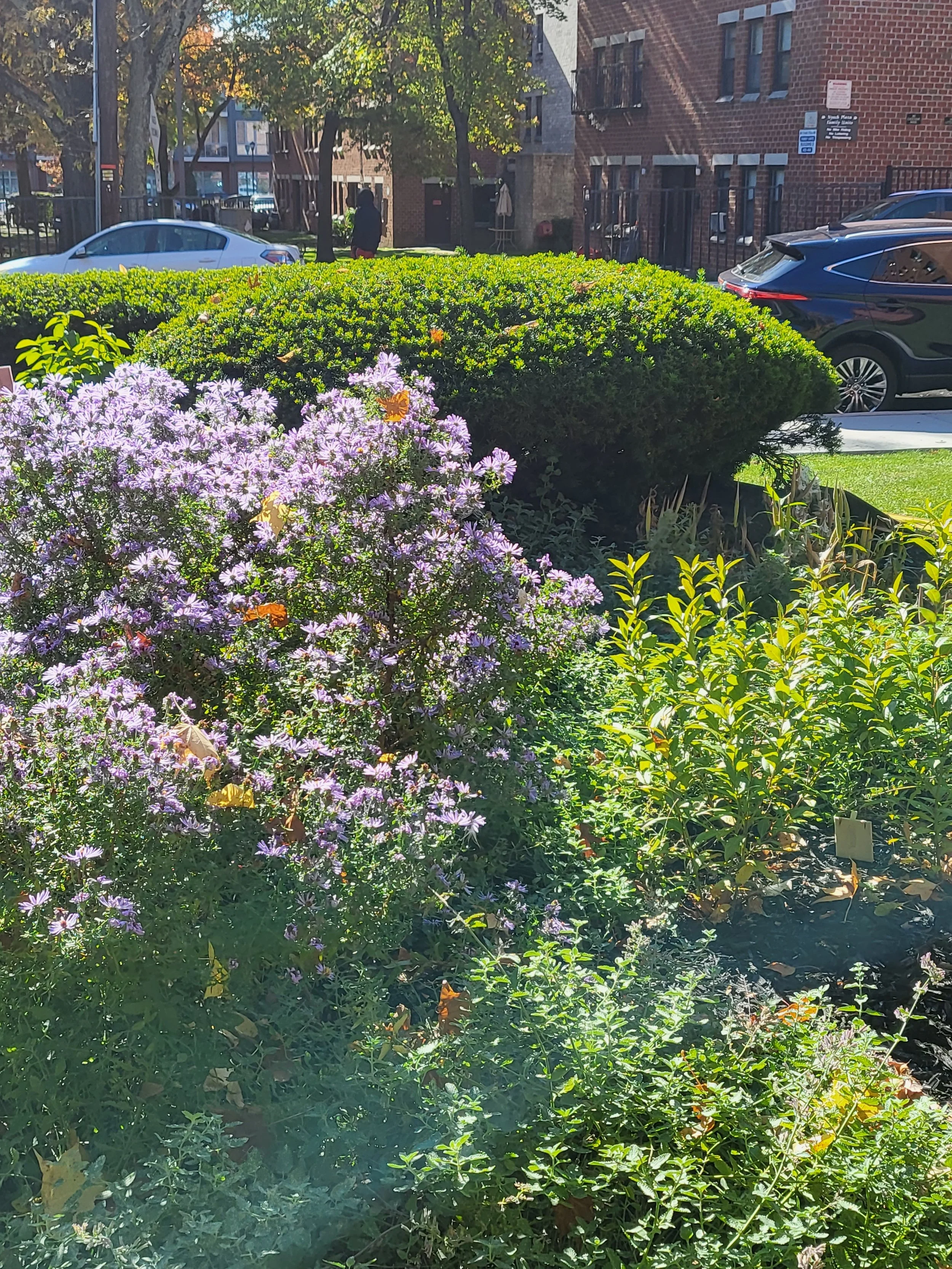 Senior Center After 5.jpg