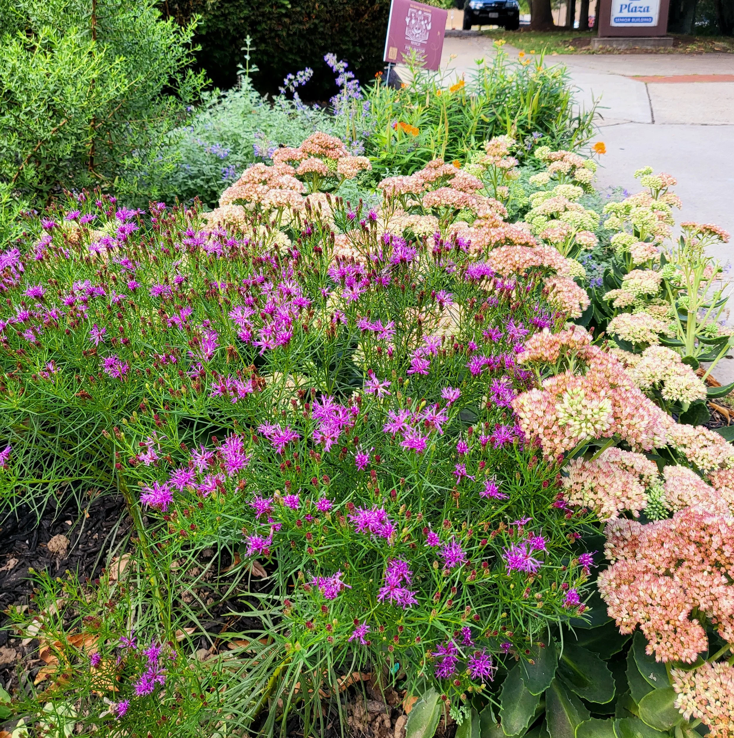 Senior Center After 3.jpg