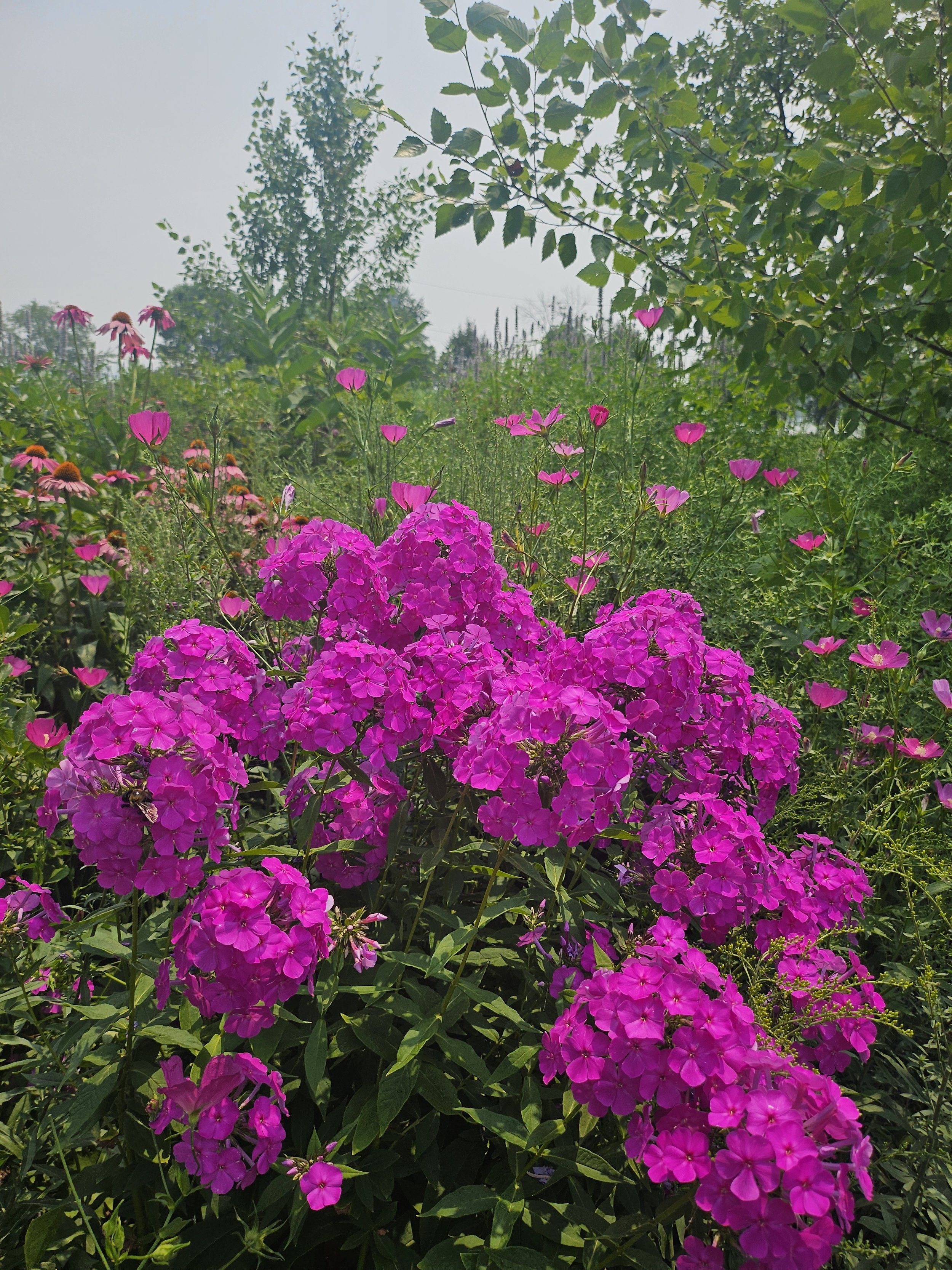 20260715_130701.jpg
