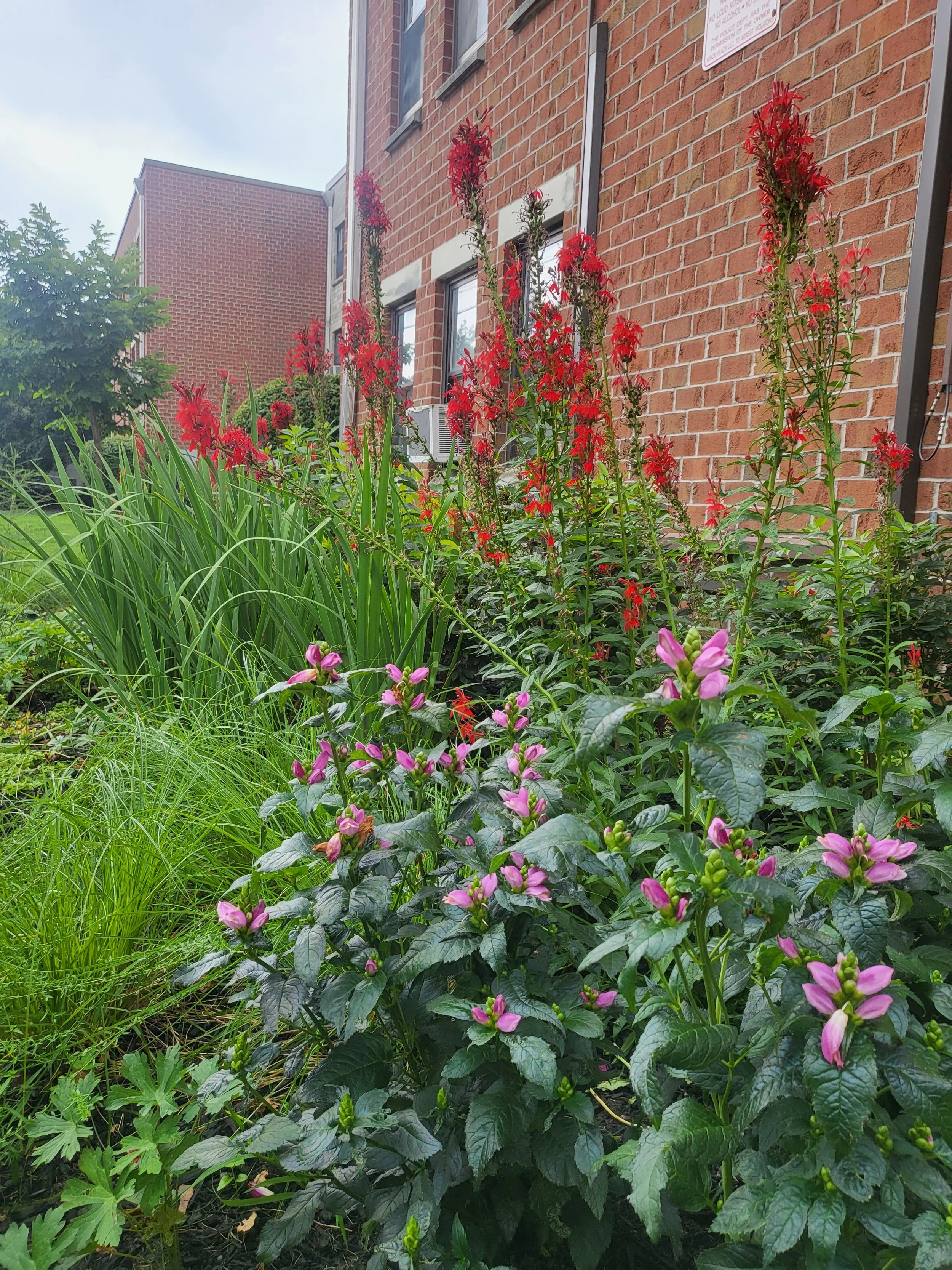 Headstart Garden 1.jpg