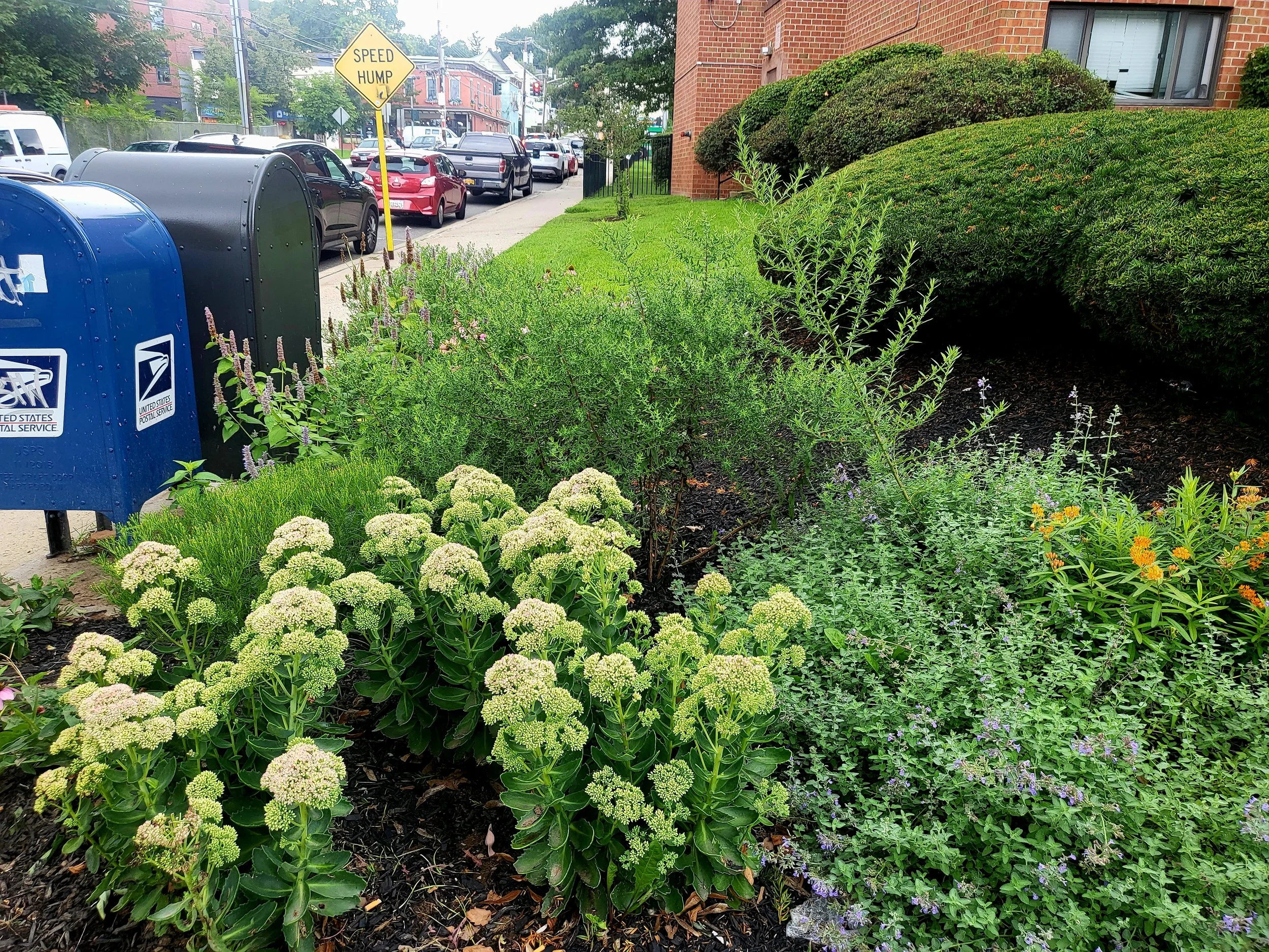 Senior Center After 1.jpg