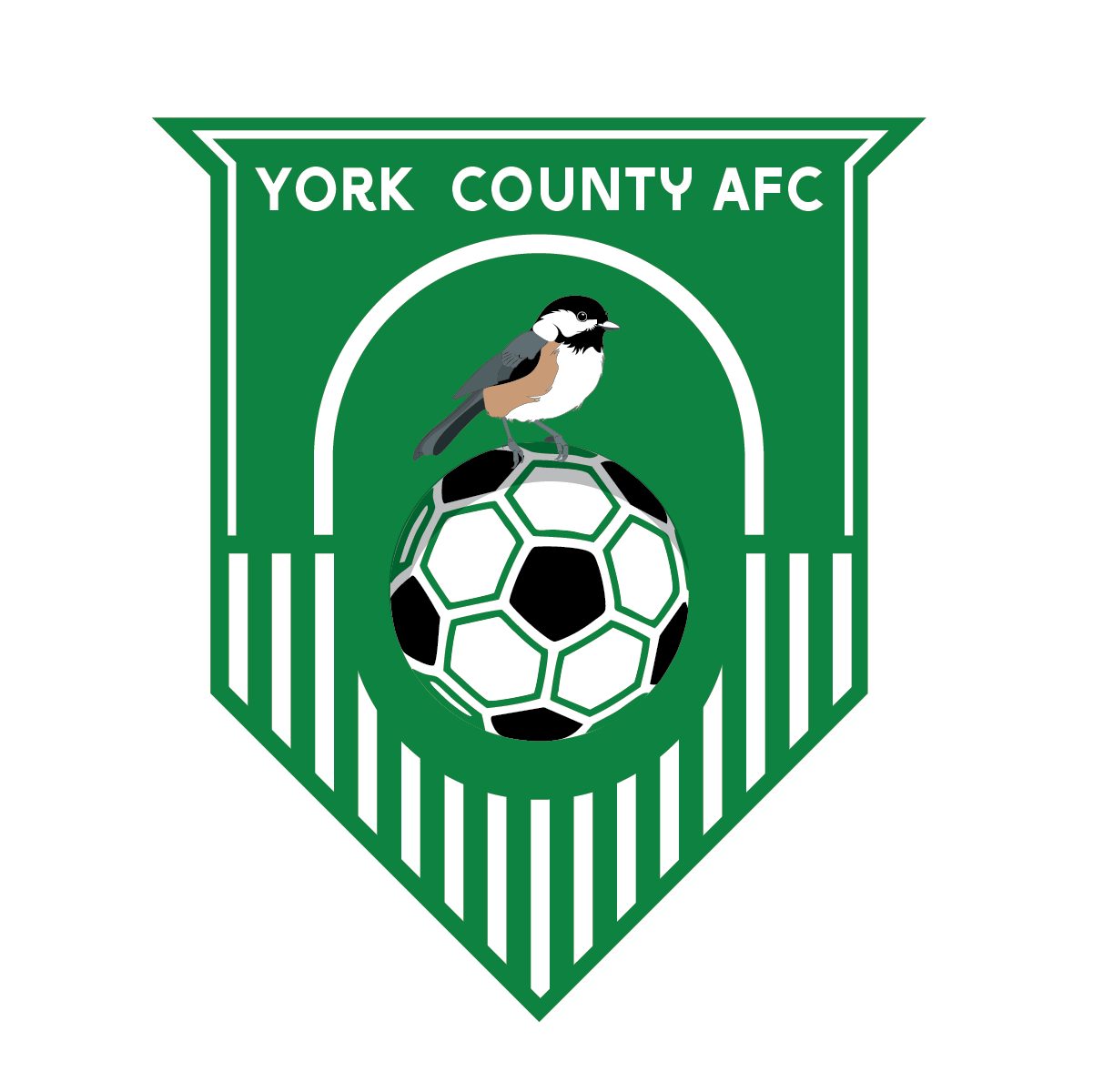 Pre-Professional Soccer comes to York County, Maine with York County AFC