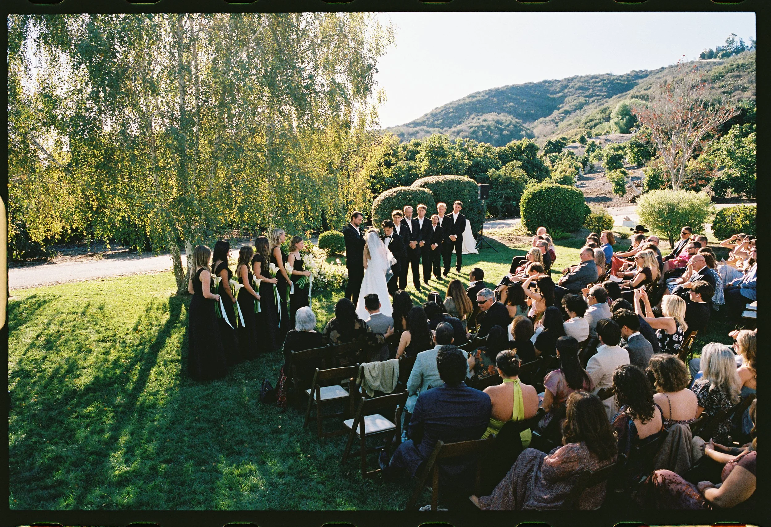 Outdoor wedding ceremony with bride, groom, and bridal party under a large tree in a garden with lush greenery and hills in the background, while guests sit on chairs watching.