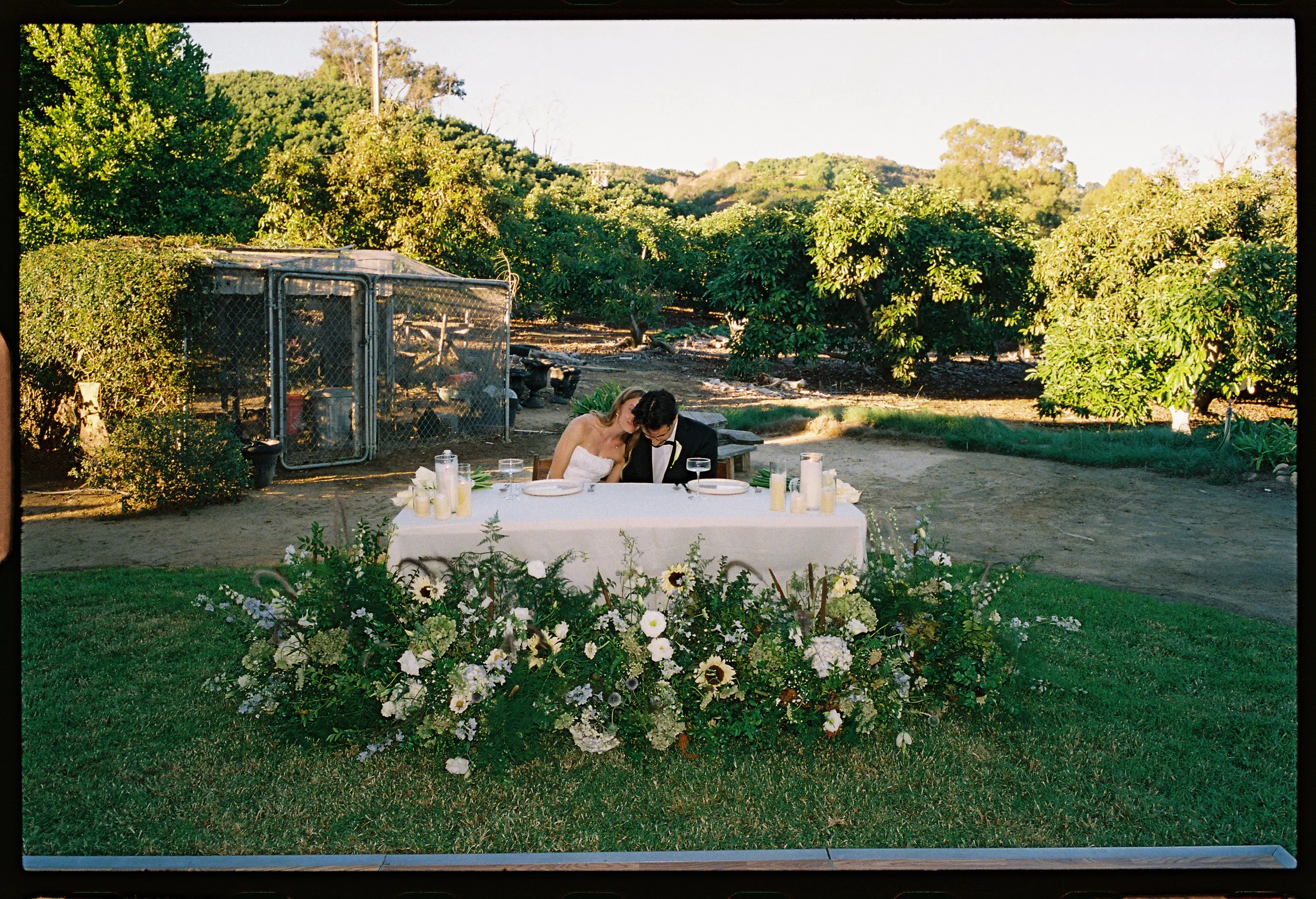 A couple dressed in formal wedding attire sitting at a table outdoors, with a lush green background and floral decorations in front of them.