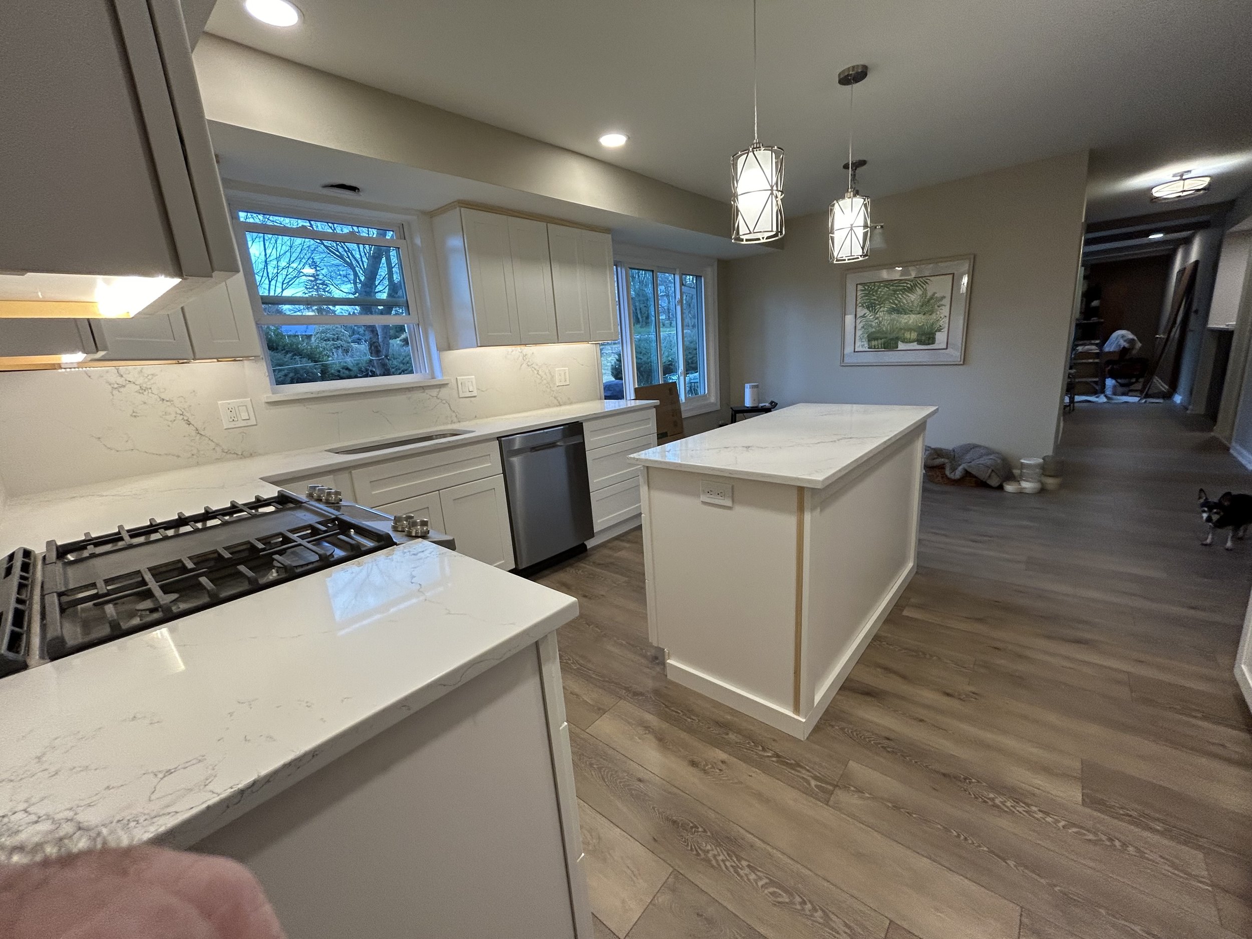 Modern kitchen with white marble countertops, white cabinetry, stainless steel dishwasher, gas stove, and a kitchen island. Large windows and pendant lights over the island. Wooden floors and wall art featuring plants. A small dog visible in the hall