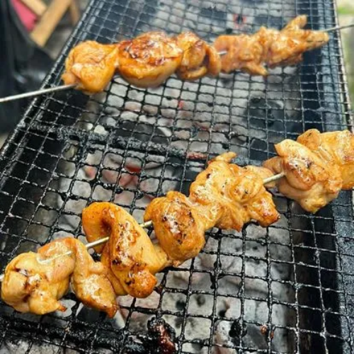 Chicken kebabs being grilled on a barbecue grill over charcoal.