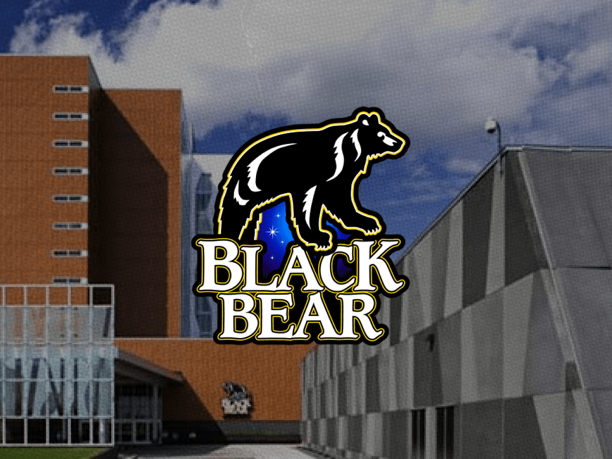 Black Bear-min.png