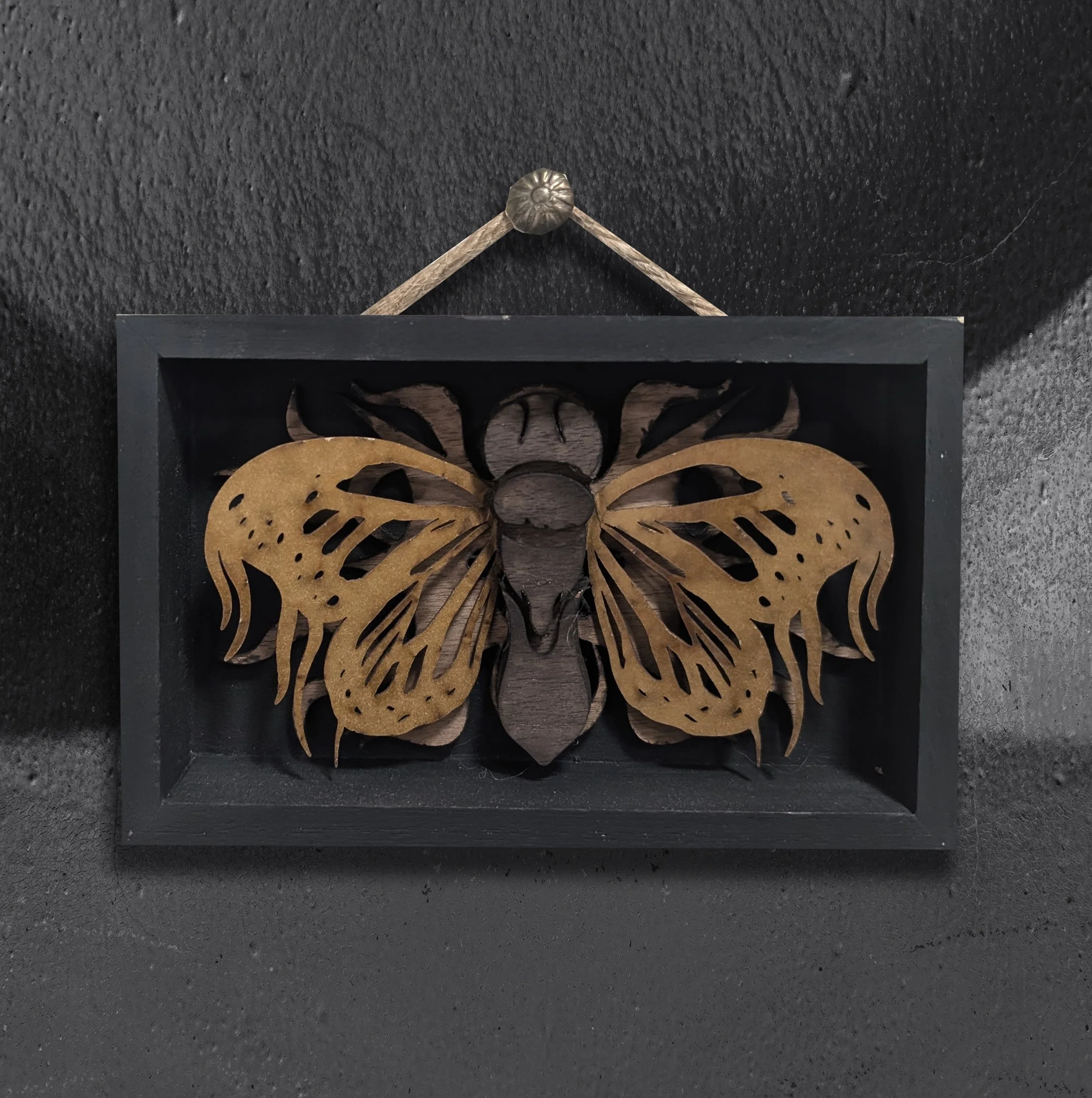Vegan Taxidermy Moth