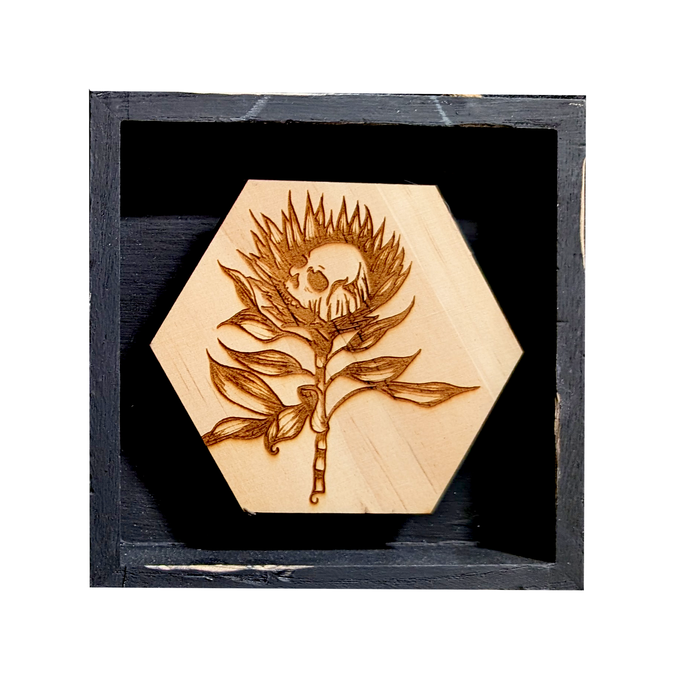 SkullyFlower-Protea.png
