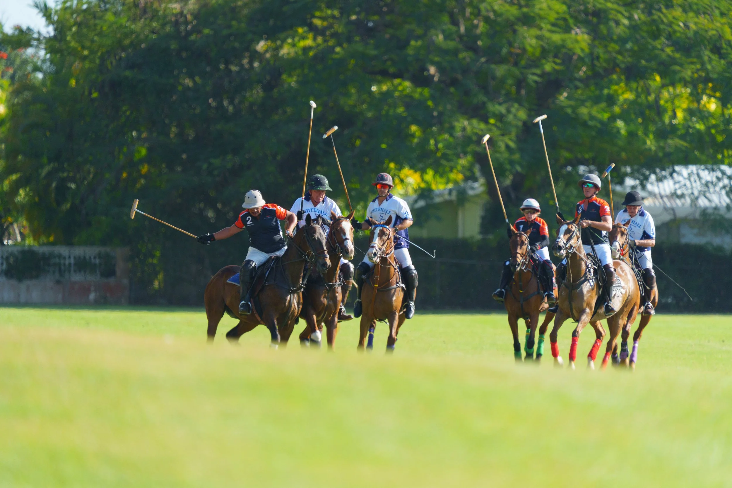 Barbados Polo Club