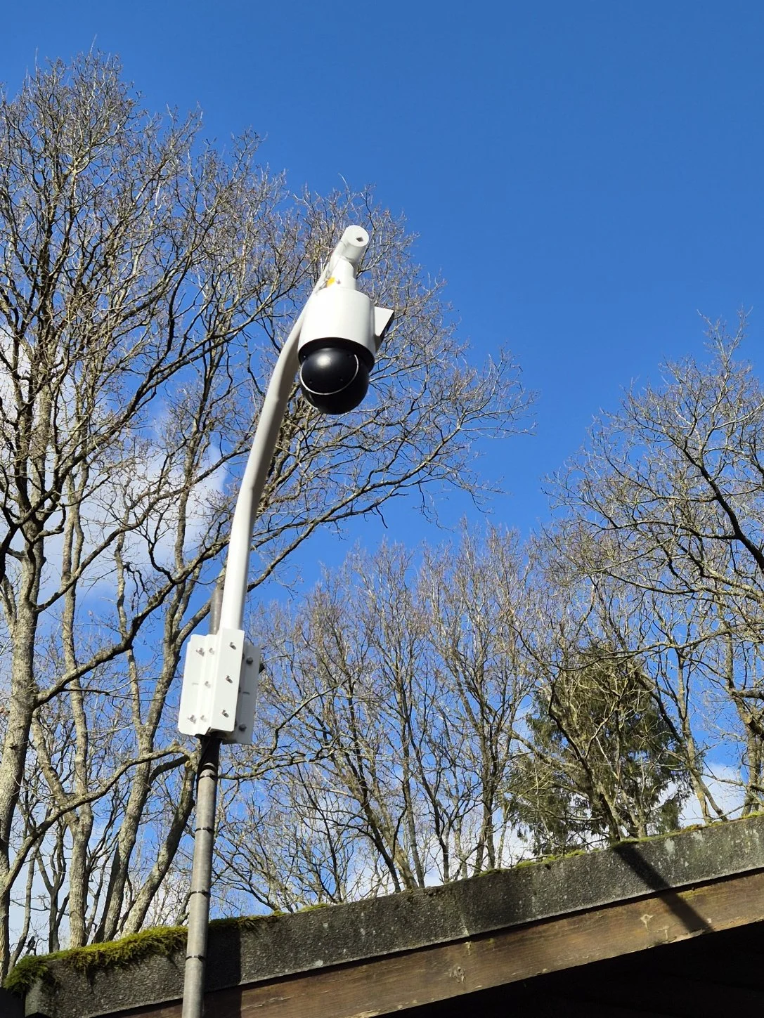 Outdoor security camera mounted on a pole against blue sky with bare trees in the background.