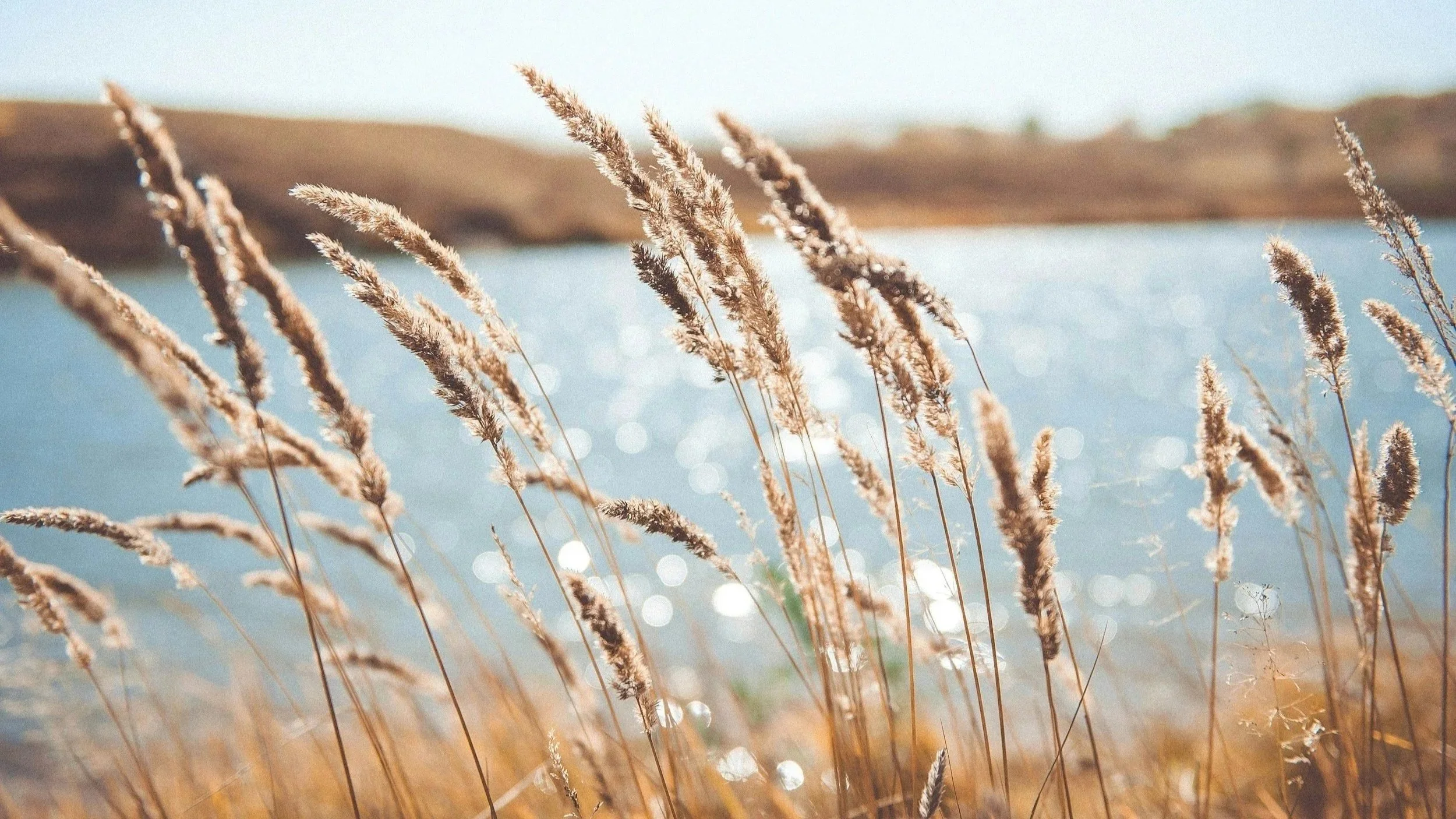 Psychologist in Chester County, PA. Specializing in ADHD assessments for children and adults. Offering individual therapy and group therapy.