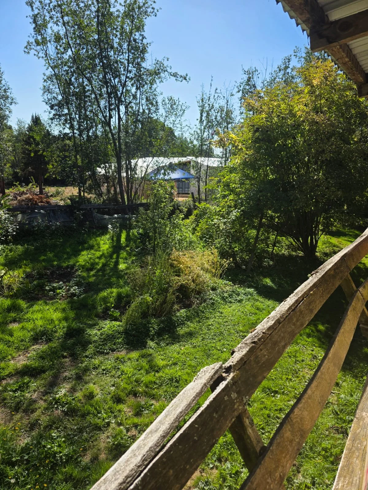 WhatsApp Image 2026-03-26 at 01.37.42.jpeg