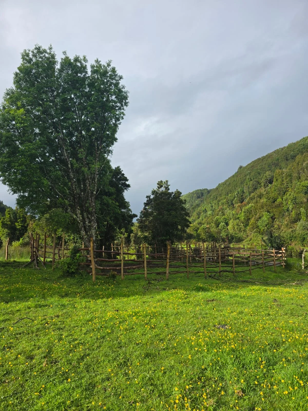 WhatsApp Image 2025-12-01 at 15.18.02.jpeg