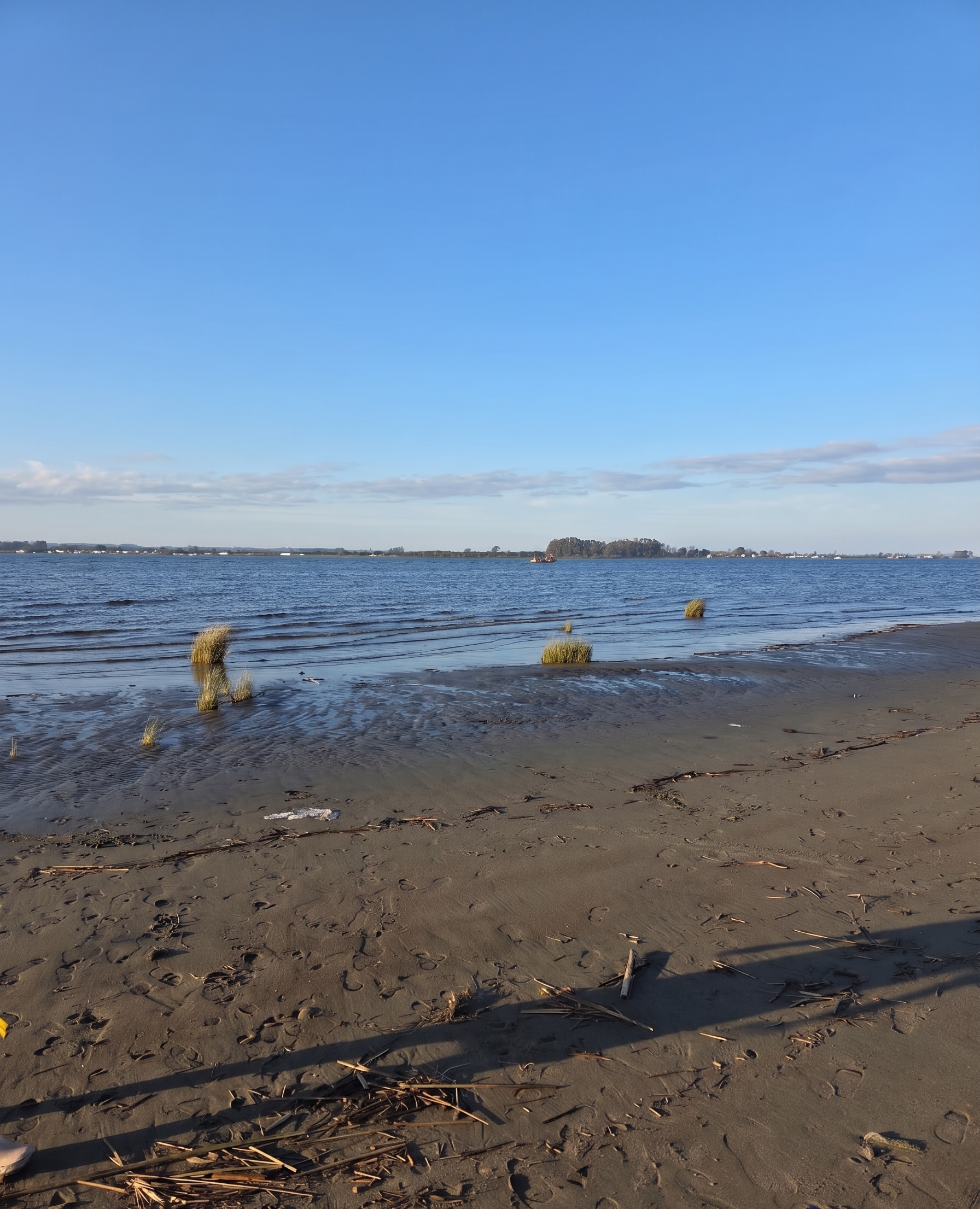INVERSIÓN ÚNICA: 
PARCELA DE 1,2 HECTÁREAS CON ACCESO A LA PLAYA EN PANGAL, MAULLÍN.
¡APROVECHA ESTA OPORTUNIDAD EXCLUSIVA PARA ADQUIRIR UNA HERMOSA PARCELA EN PANGAL CON ACCESO A LA PLAYA EN UN SECTOR TRANQUILO Y NATURAL!