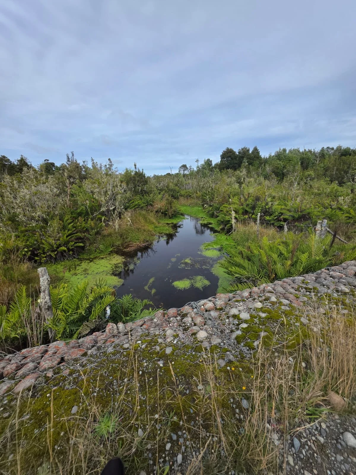 Superficie Total: 4,64 Hectáreas (46.400 m2).
Factibilidad Eléctrica.
Factibilidad de Agua.