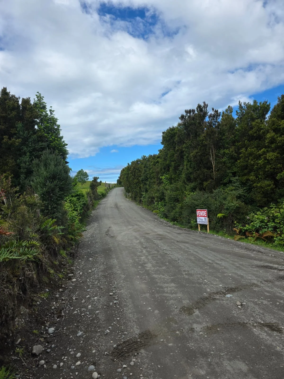 Detalles de las Unidades Disponibles:
Parcela Vista al Mar (5.000 m²): Valor: $20.000.000 (~UF 523).
Parcela Interior (5.000 m²): Valor: $15.000.000 (~UF 392).
Macrolote de 1,1 Hectáreas (11.000 m²): Valor: $30.000.000 (~UF 784).