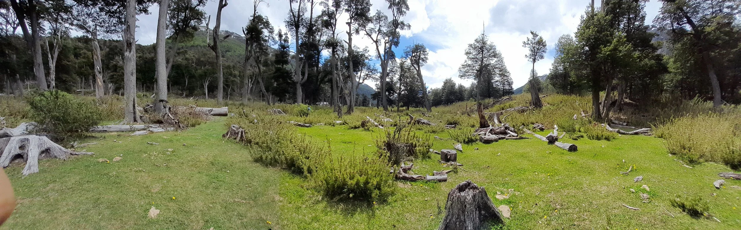 EN VENTA: predio de 5 hectáreas, subdivididas en parcelas de 10.000 m² (1 hectárea).
DESDE: $85.000.000.-