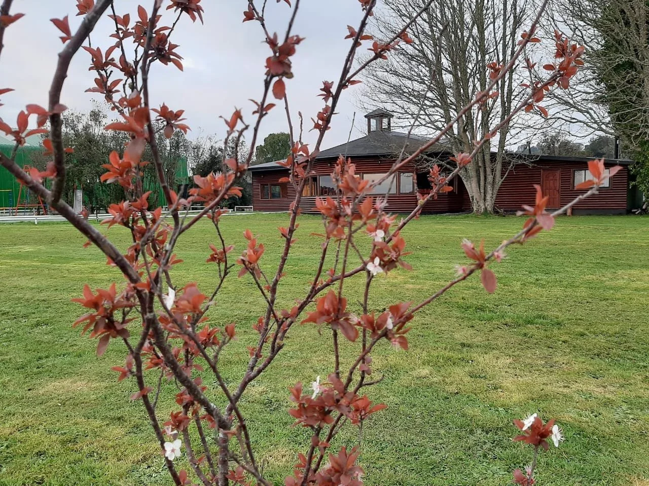 Se vende exclusiva propiedad comercial de 7.600 m² de terreno, ubicada en sector Chamiza, a escasos 3,6 km de Puerto Montt. El inmueble se emplaza en una parcelación consolidada de alta plusvalía y cuenta con operaciones comerciales activas en los ru