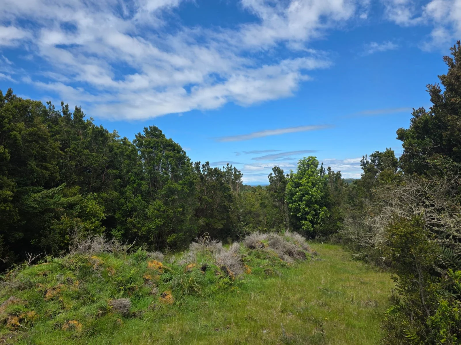 Detalles de las Unidades Disponibles:
Parcela Vista al Mar (5.000 m²): Valor: $20.000.000 (~UF 523).
Parcela Interior (5.000 m²): Valor: $15.000.000 (~UF 392).
Macrolote de 1,1 Hectáreas (11.000 m²): Valor: $30.000.000 (~UF 784).