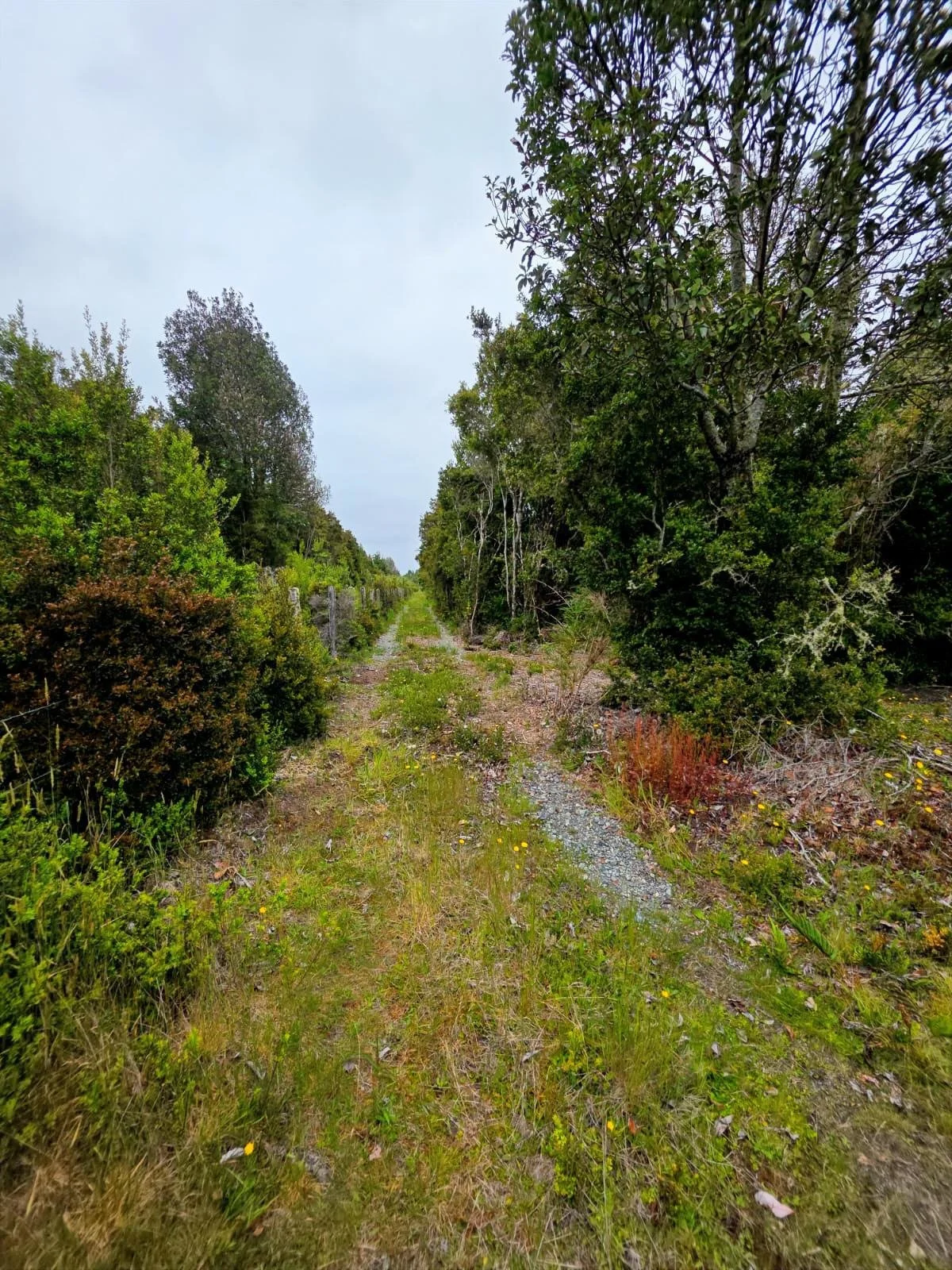 WhatsApp Image 2025-12-27 at 23.26.39 (2).JPG