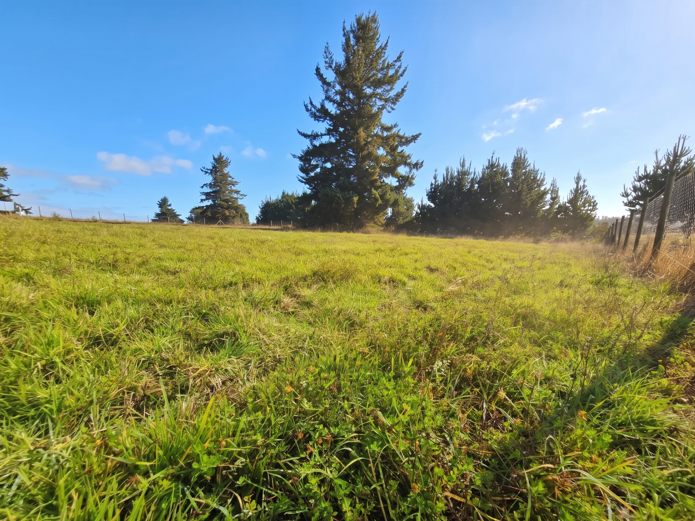 Superficie: 5.000 M².
Ubicación: Parcelación, condominio cerrado, Aires de Fresia / Cañitas.
Entorno: Pradera con árboles nativos.
Disponibilidad: Inmediata.¡Lista para escriturar!