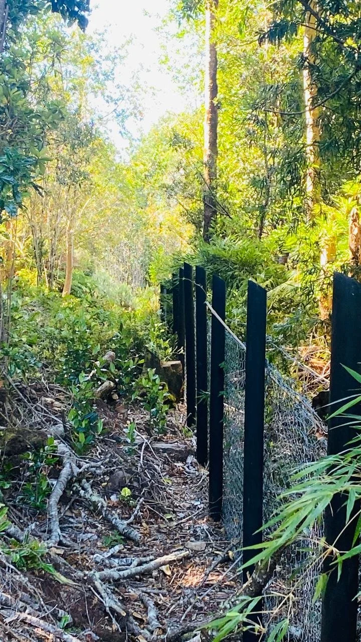 Parcela 100% cerrada