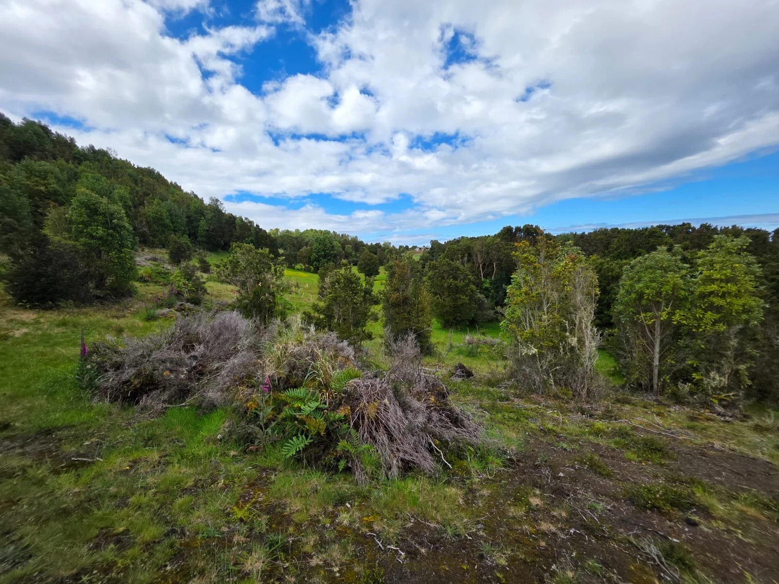 Detalles de las Unidades Disponibles:
Parcela Vista al Mar (5.000 m²): Valor: $20.000.000 (~UF 523).
Parcela Interior (5.000 m²): Valor: $15.000.000 (~UF 392).
Macrolote de 1,1 Hectáreas (11.000 m²): Valor: $30.000.000 (~UF 784).