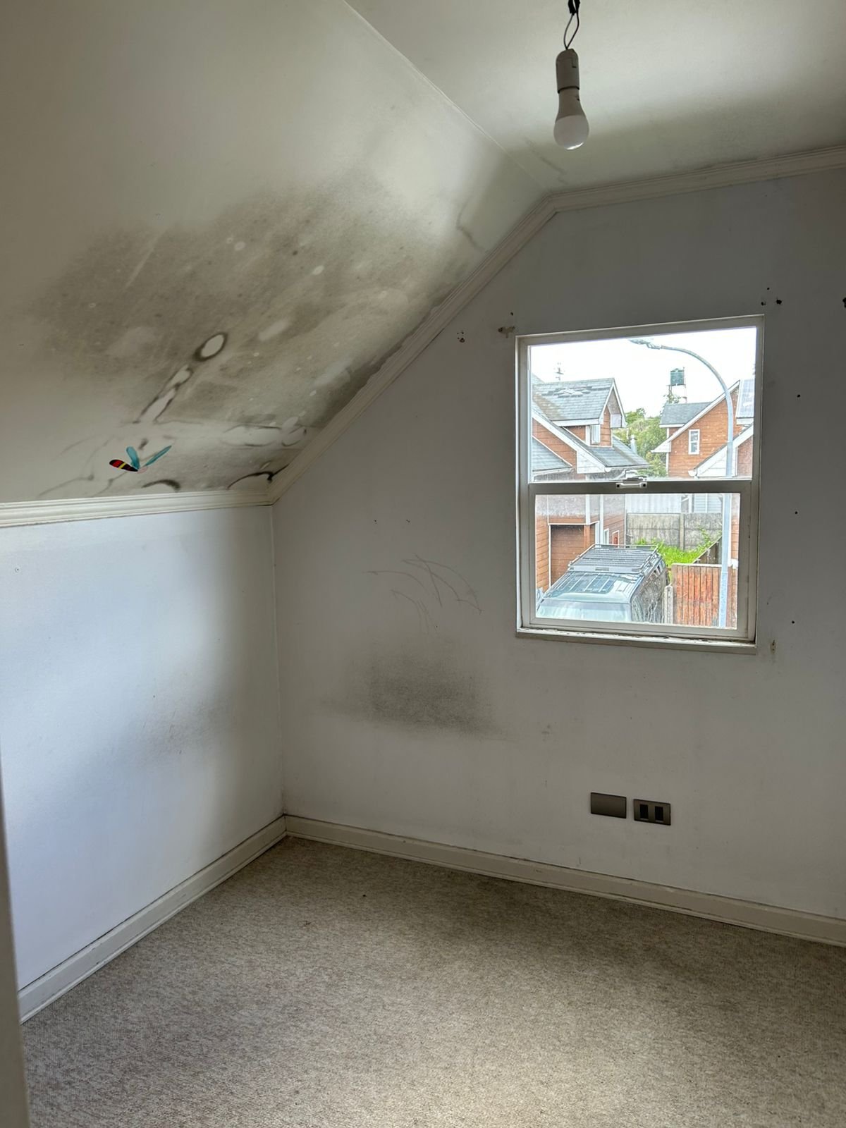 WhatsApp Image 2025-11-20 at 13.48.22 (1).jpeg