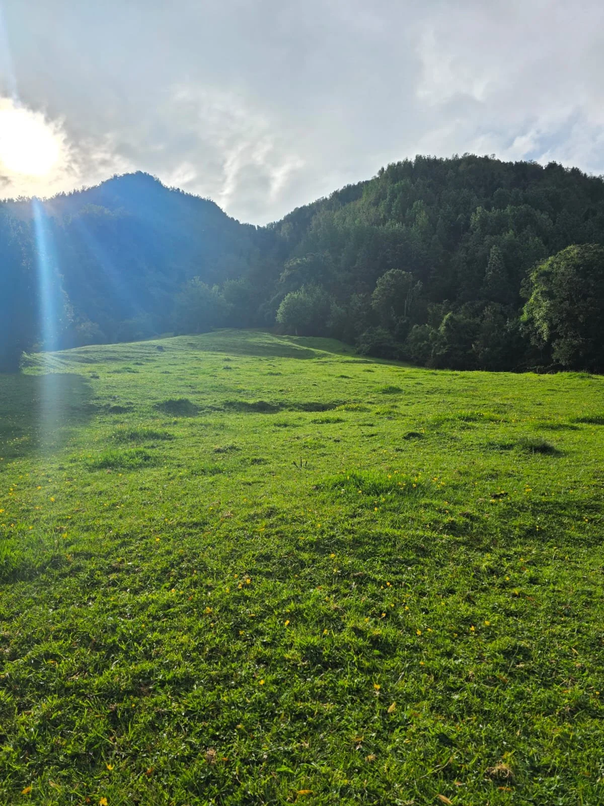 WhatsApp Image 2025-12-01 at 15.18.00.jpeg