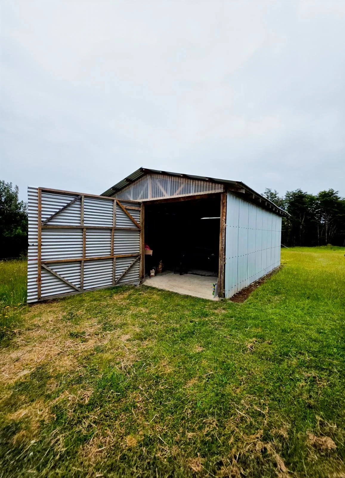 WhatsApp Image 2025-12-27 at 23.26.26.JPG