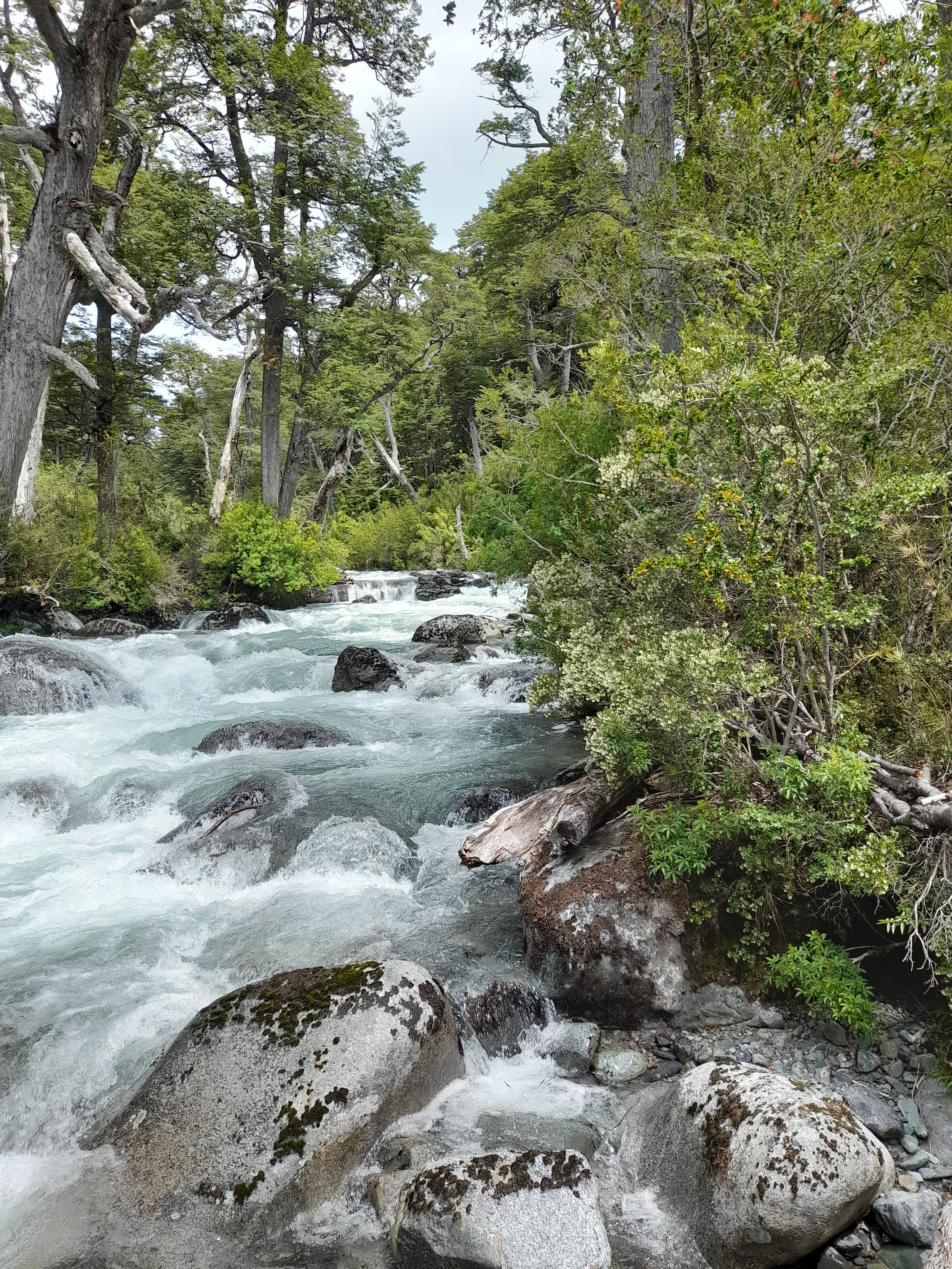 EN VENTA: predio de 5 hectáreas, subdivididas en parcelas de 10.000 m² (1 hectárea).
DESDE: $85.000.000.-