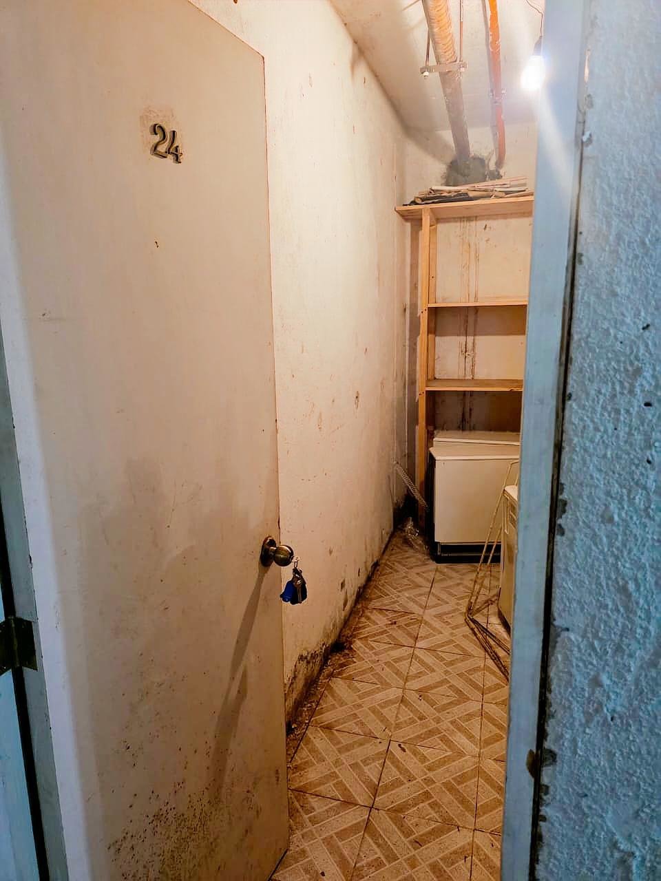 WhatsApp Image 2026-01-05 at 16.55.46.JPG