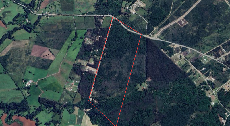 EXCELENTE OPORTUNIDAD DE INVERSIÓN EN UN CAMPO DE 17,60 HECTÁREAS, ESTRATÉGICAMENTE UBICADO EN EL SECTOR DE CHAQUEIHUA.
+569 23 72 6225
