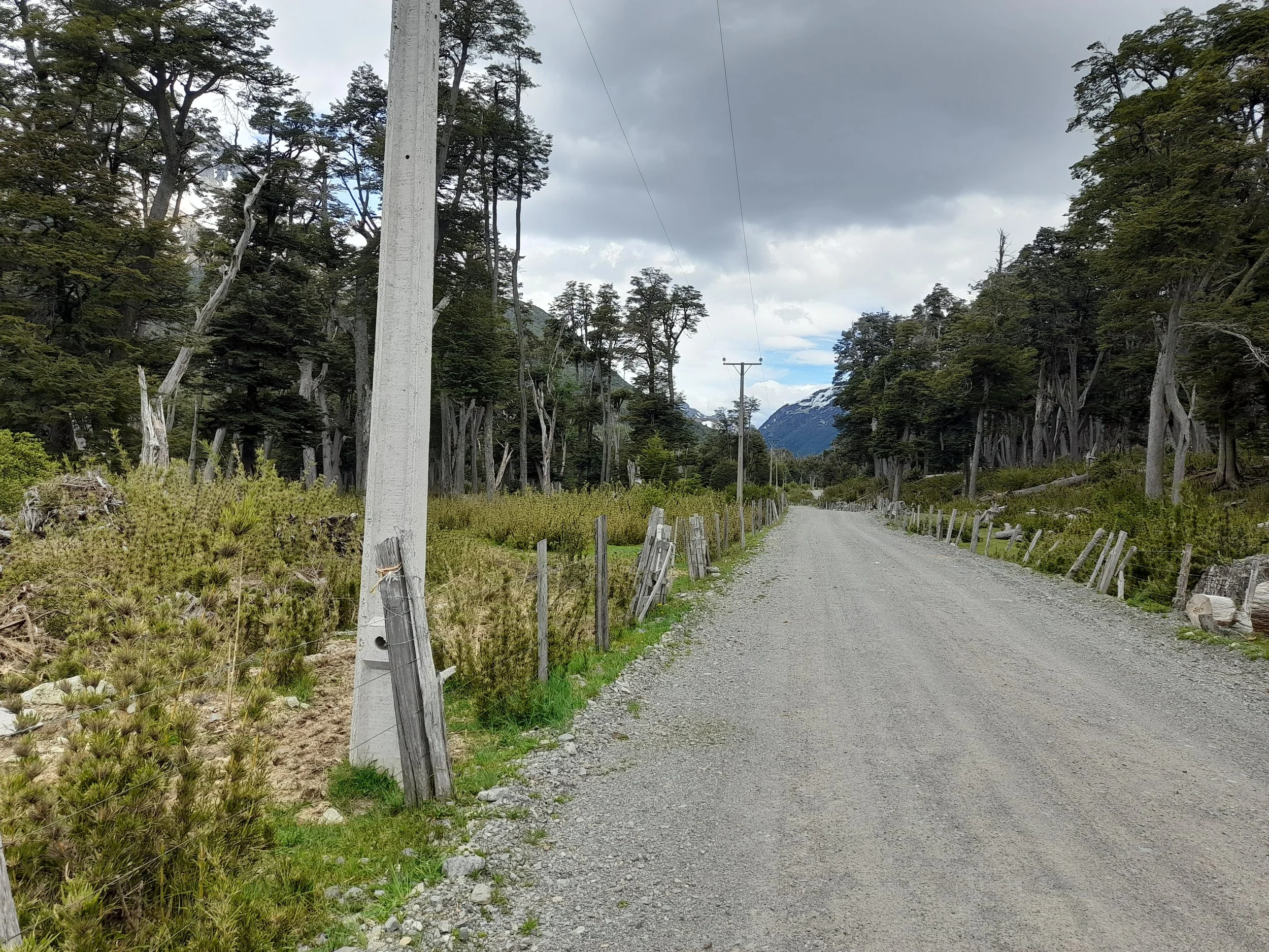 EN VENTA: predio de 5 hectáreas, subdivididas en parcelas de 10.000 m² (1 hectárea).
DESDE: $85.000.000.-