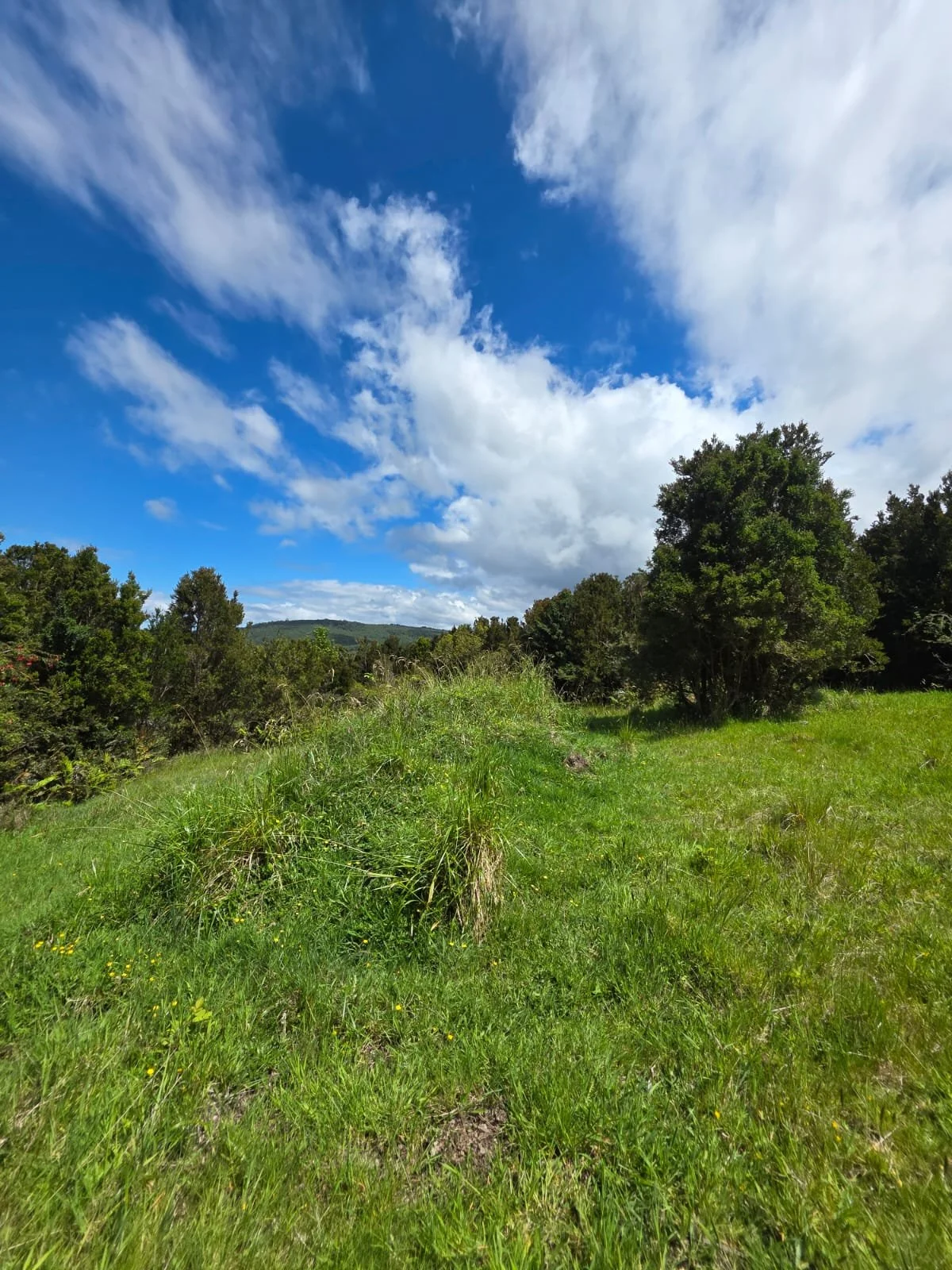 Detalles de las Unidades Disponibles:
Parcela Vista al Mar (5.000 m²): Valor: $20.000.000 (~UF 523).
Parcela Interior (5.000 m²): Valor: $15.000.000 (~UF 392).
Macrolote de 1,1 Hectáreas (11.000 m²): Valor: $30.000.000 (~UF 784).