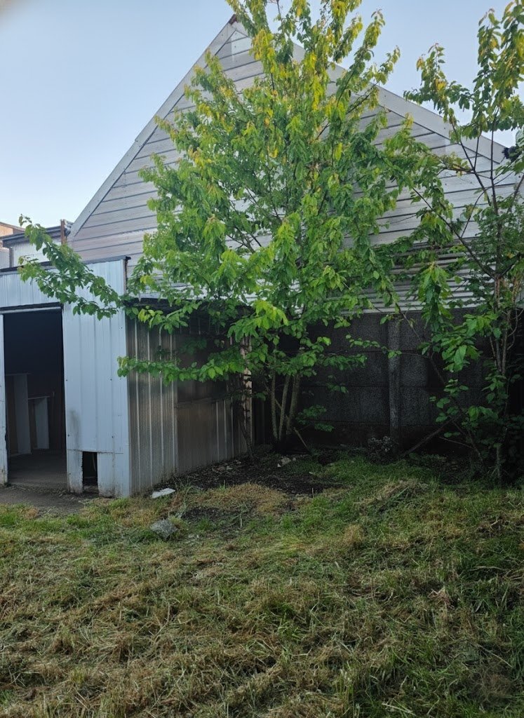 WhatsApp Image 2025-12-01 at 15.25.27.JPG