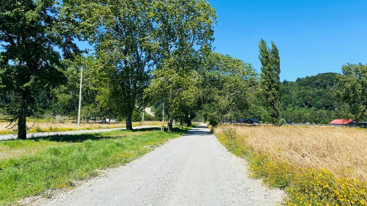 EN VENTA: PARCELA 5000M2 EN AUTOMÓ, CHAMIZA.