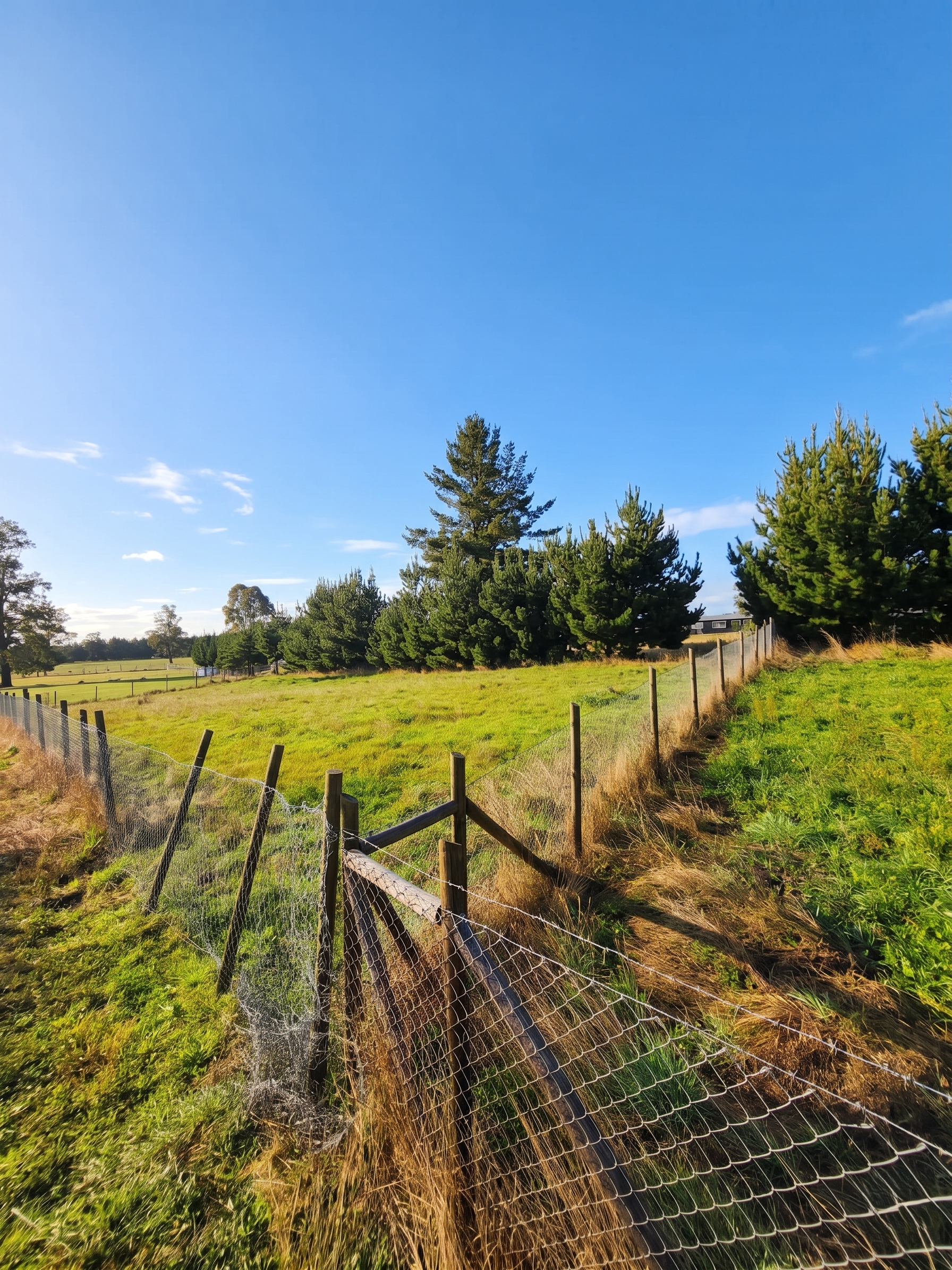 Superficie: 5.000 M².
Ubicación: Parcelación, condominio cerrado, Aires de Fresia / Cañitas.
Entorno: Pradera con árboles nativos.
Disponibilidad: Inmediata.¡Lista para escriturar!