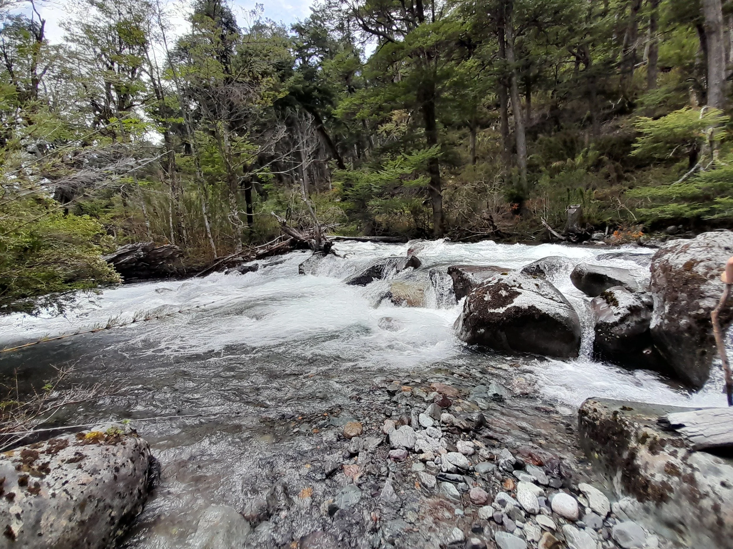 EN VENTA: predio de 5 hectáreas, subdivididas en parcelas de 10.000 m² (1 hectárea).
DESDE: $85.000.000.-