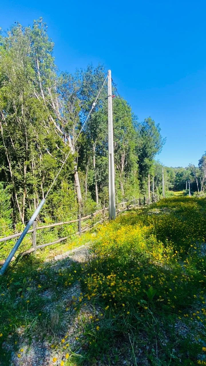 Luz eléctrica y agua potable instalada y operativa. 