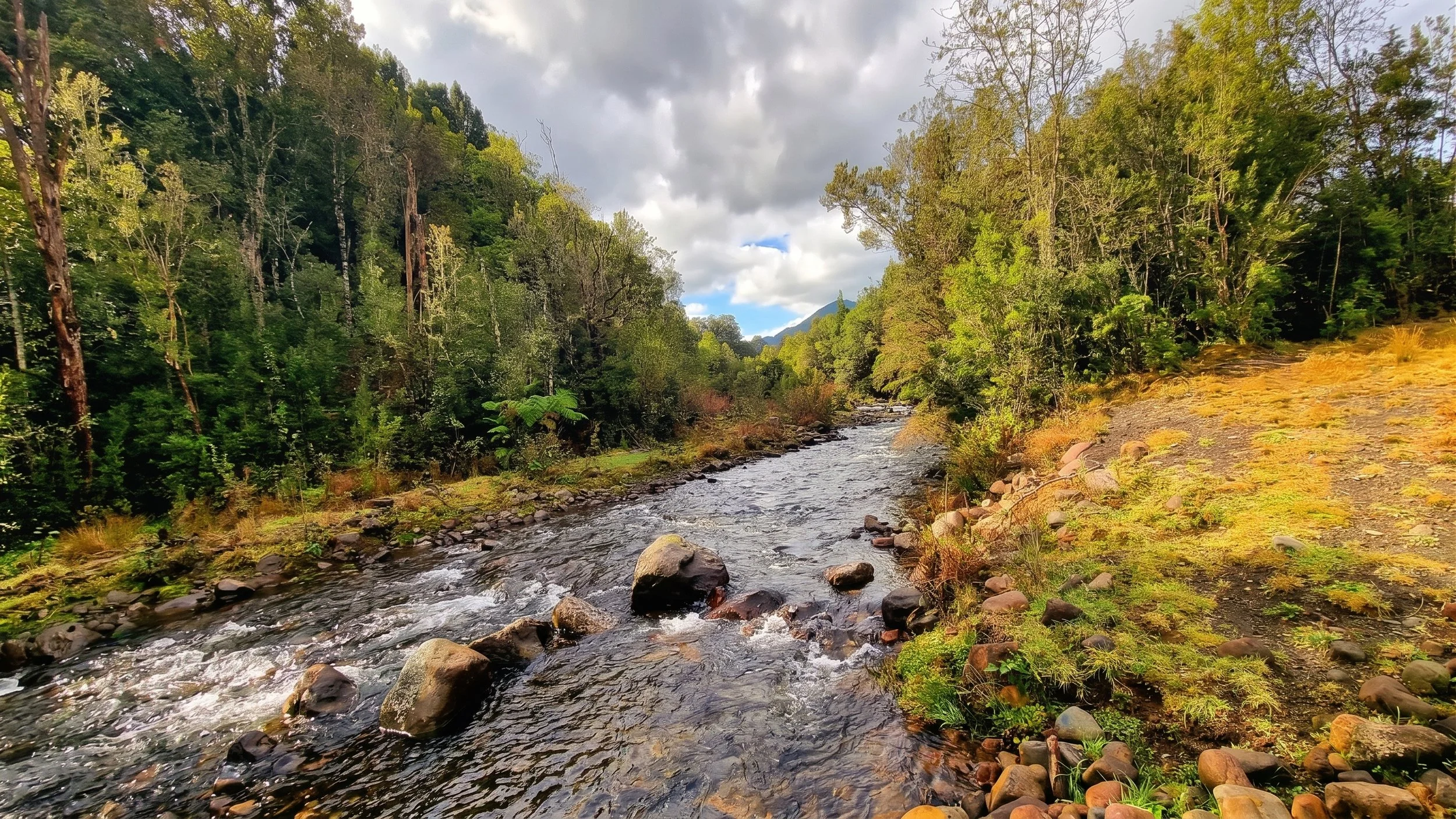 Descubre esta espectacular parcela de 5.631 m² ubicada en La Colonia (sector Correntoso, camino a la Carretera Austral). Un entorno privilegiado con bosque nativo, acceso al río, vistas a la cordillera y la tranquilidad que solo el sur de Chile te pu