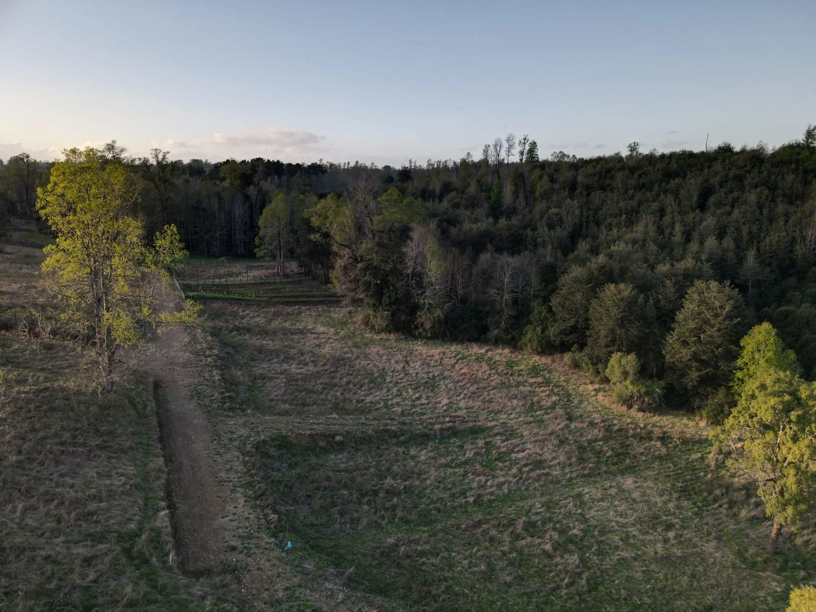 Hermosa parcela de 5000M2 en Condominio, ubicada en la apacible localidad de Cañitas, Región de Los Lagos.