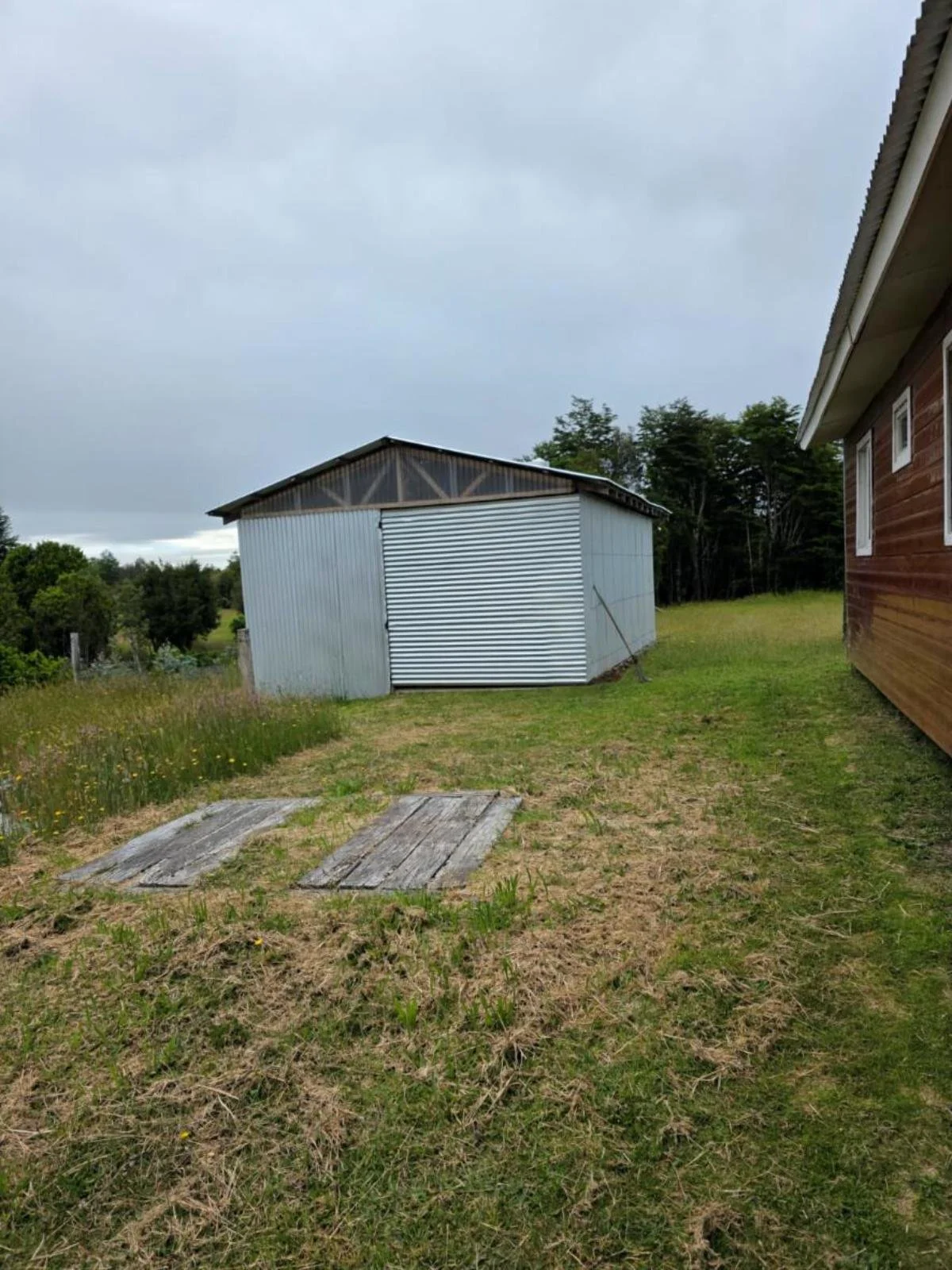 WhatsApp Image 2025-12-27 at 23.26.27.JPG