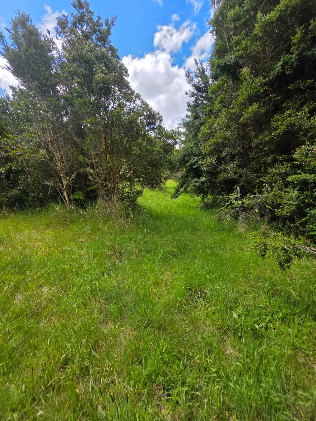 Detalles de las Unidades Disponibles:
Parcela Vista al Mar (5.000 m²): Valor: $20.000.000 (~UF 523).
Parcela Interior (5.000 m²): Valor: $15.000.000 (~UF 392).
Macrolote de 1,1 Hectáreas (11.000 m²): Valor: $30.000.000 (~UF 784).