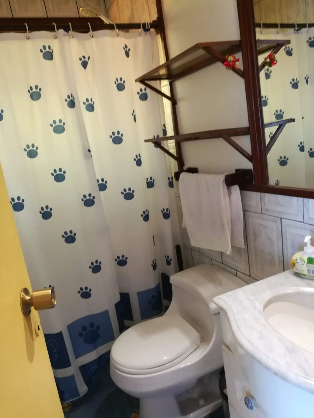 Baño casa principal