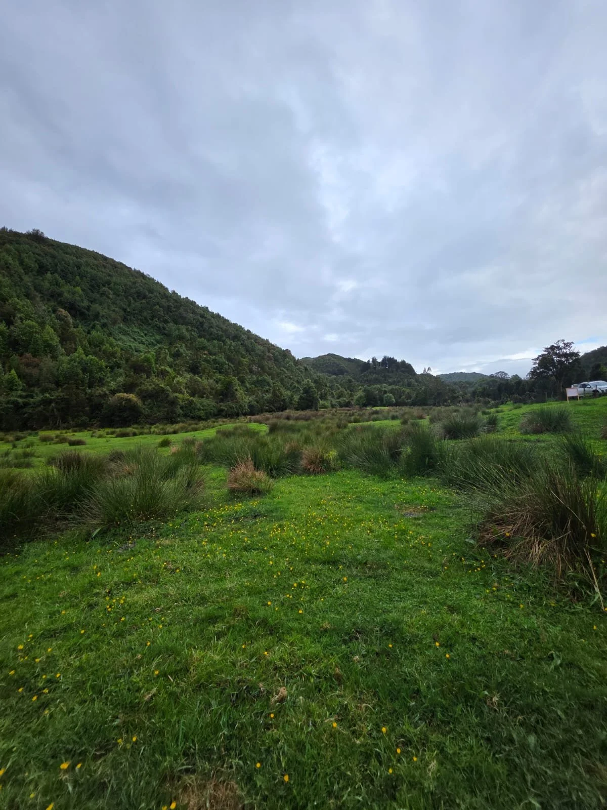 WhatsApp Image 2025-12-01 at 15.17.48 (1).jpeg