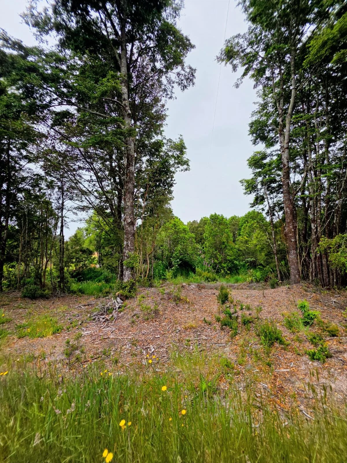 WhatsApp Image 2025-12-27 at 23.26.38 (2).JPG