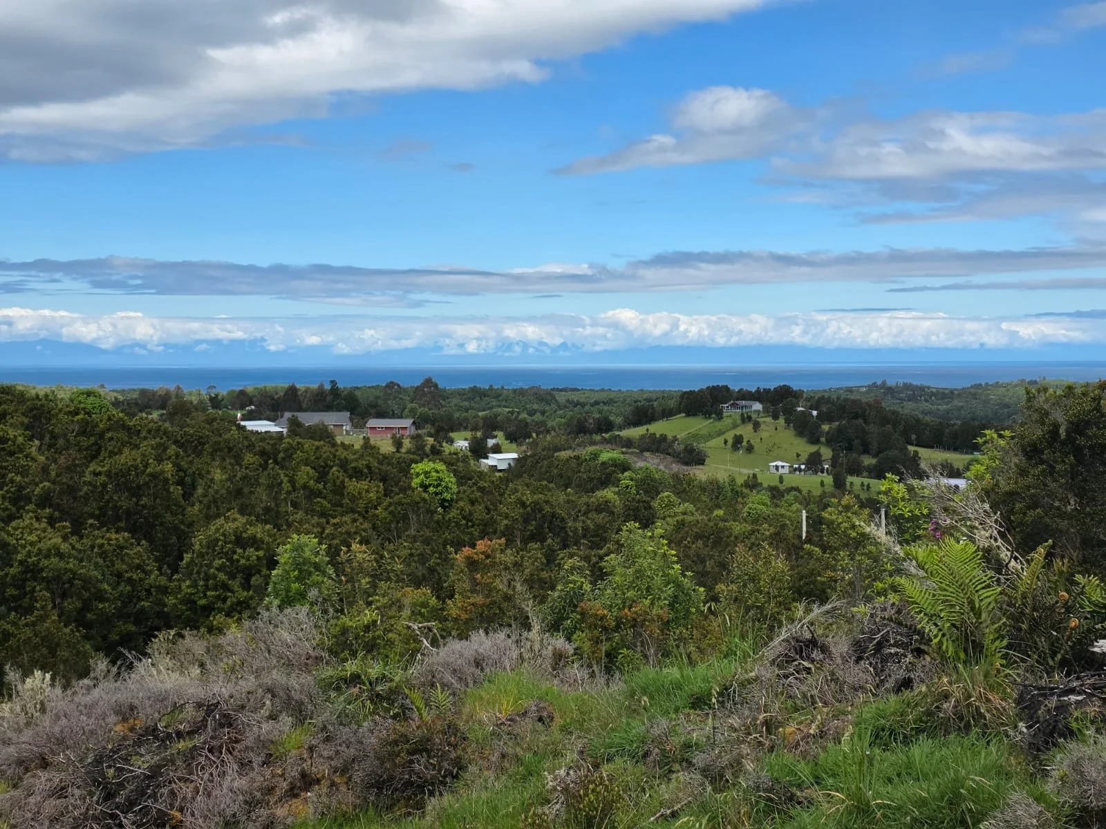 Detalles de las Unidades Disponibles:
Parcela Vista al Mar (5.000 m²): Valor: $20.000.000 (~UF 523).
Parcela Interior (5.000 m²): Valor: $15.000.000 (~UF 392).
Macrolote de 1,1 Hectáreas (11.000 m²): Valor: $30.000.000 (~UF 784).